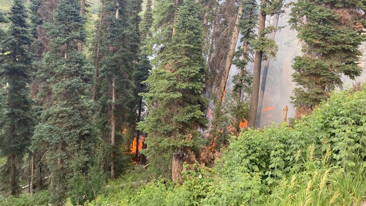 Pilot dies after firefighting aircraft goes down in southwest Colorado reservoir