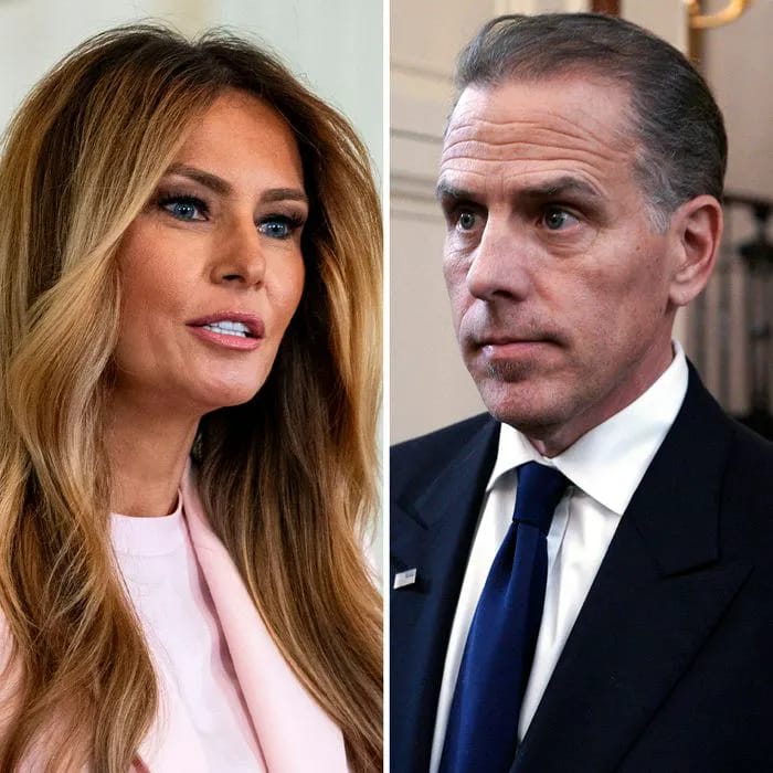 Hunter Biden claims Melania Trump's $1B legal threat over his Jeffrey Epstein comments linking her to the disgraced financier 'didn't go anywhere'