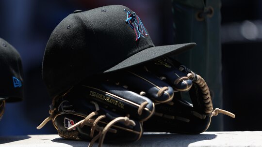 Marlins Dog From Viral Video Gets 'Dream Day,' Celebrated During 1st Pitch