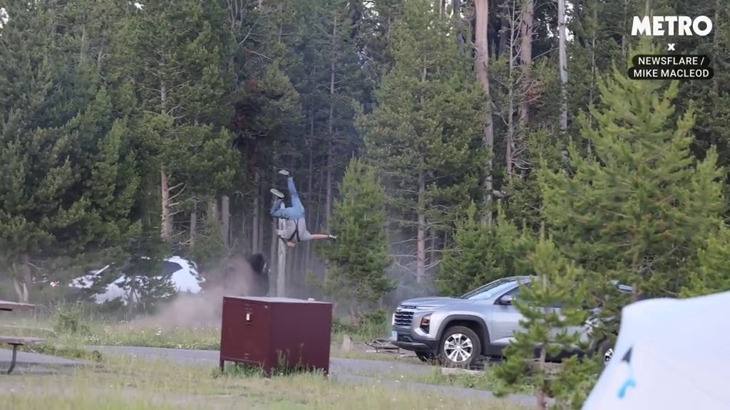 man gets hurled in the air by a bison