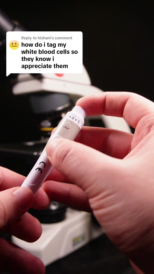 White blood cell appreciation under microscope