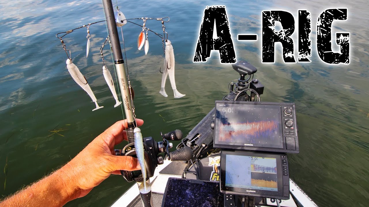 Catch big bass using the A-RIG technique