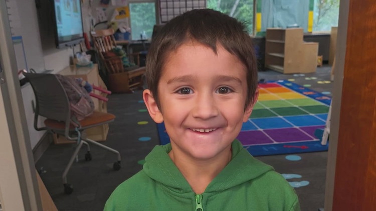 6-year-old boy dies after being hit by falling driftwood on Bellingham beach