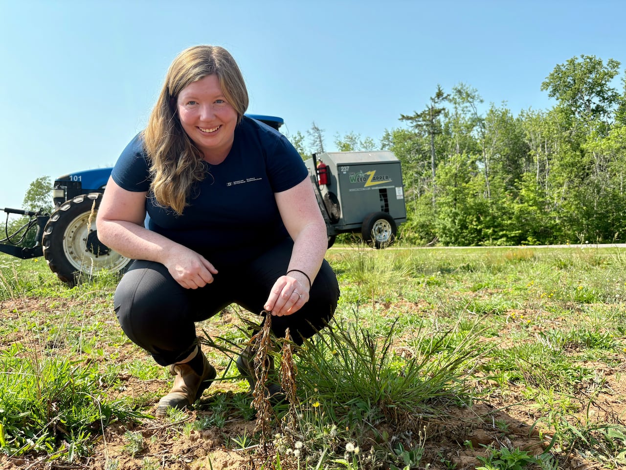This weed zapper is 'surging' through farm fields on PEI