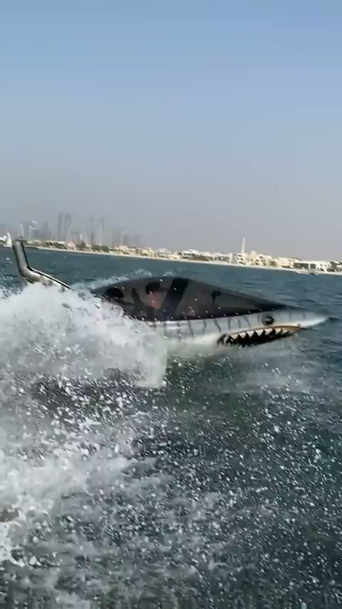 A shark-inspired boat brings marine life into its design