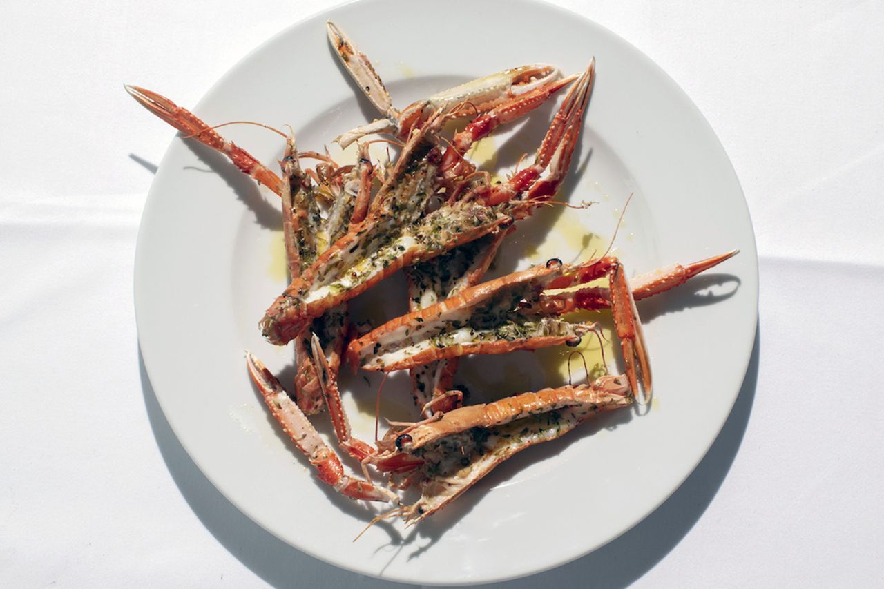 A white plate with cooked langoustines garnished with herbs