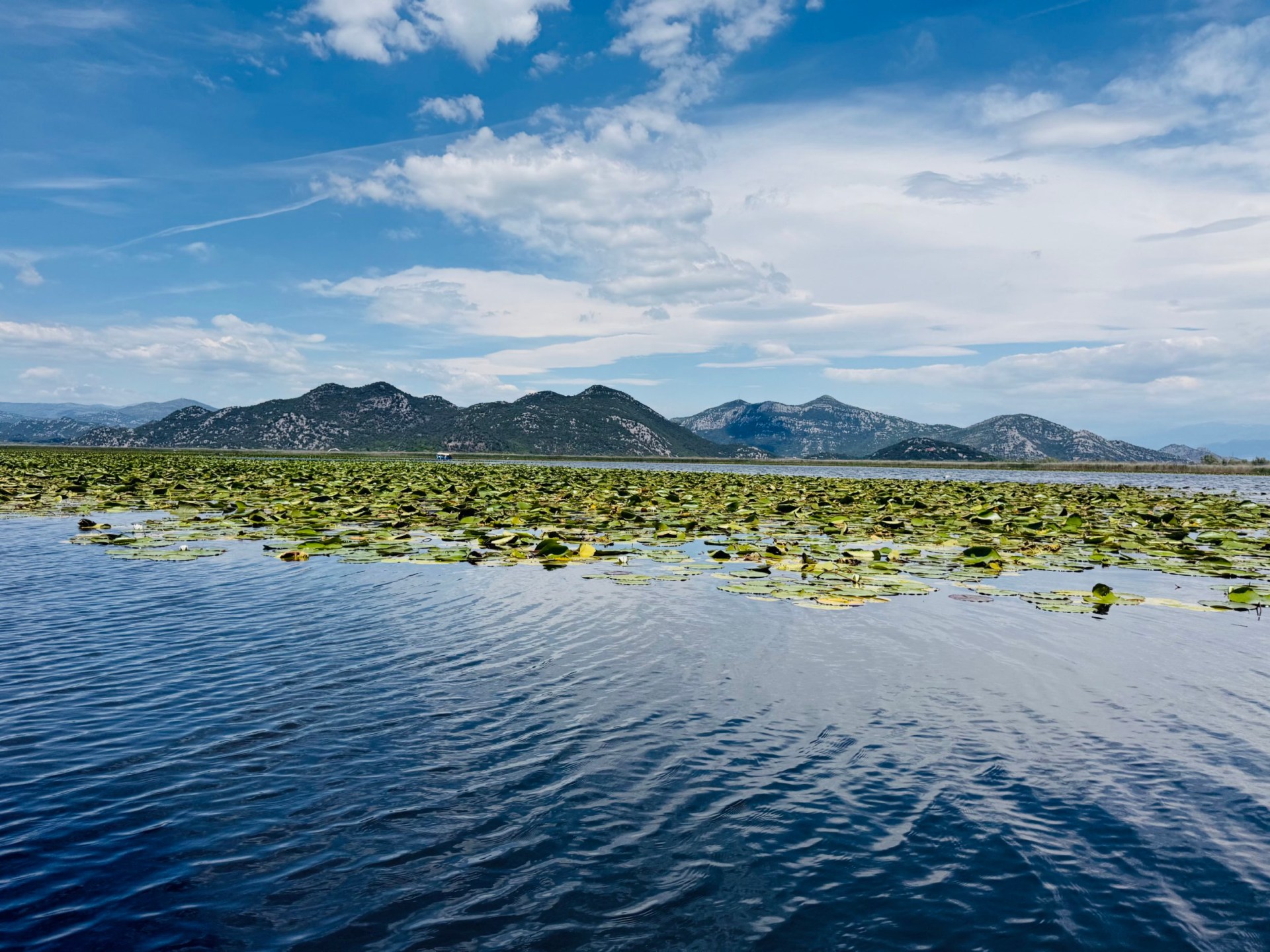 The nature reserve in Virpazar with water and mountains
