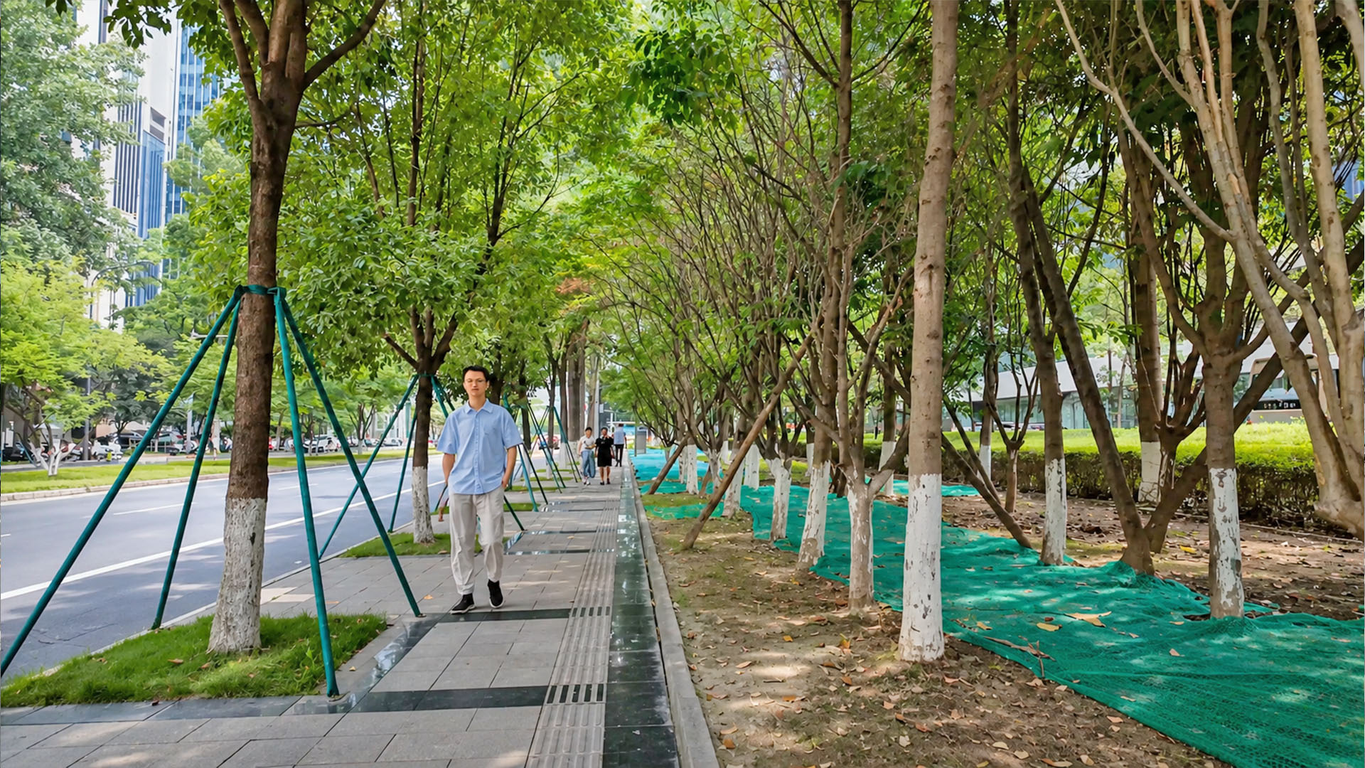 Urban green infrastructure creates comfortable public spaces along ...