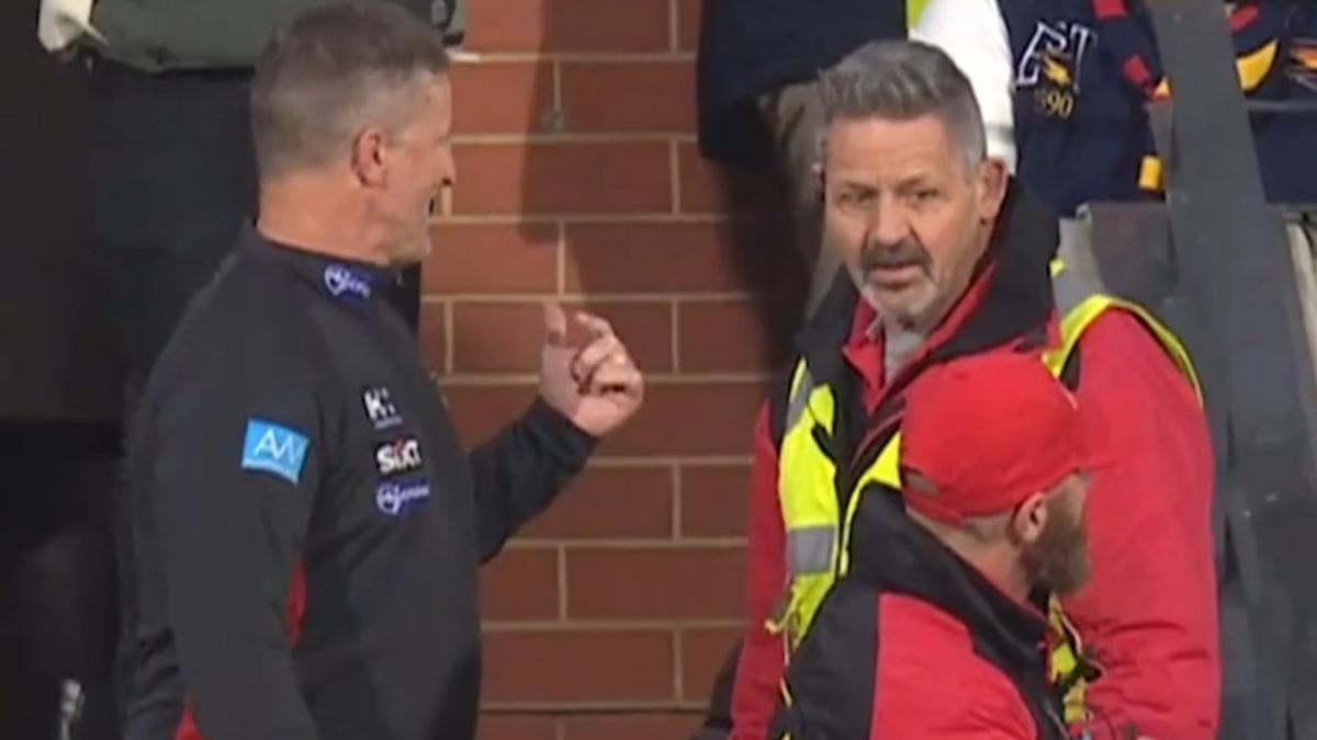 Damien Hardwick calls out 'peanut' fan after latest 'dangerous ...