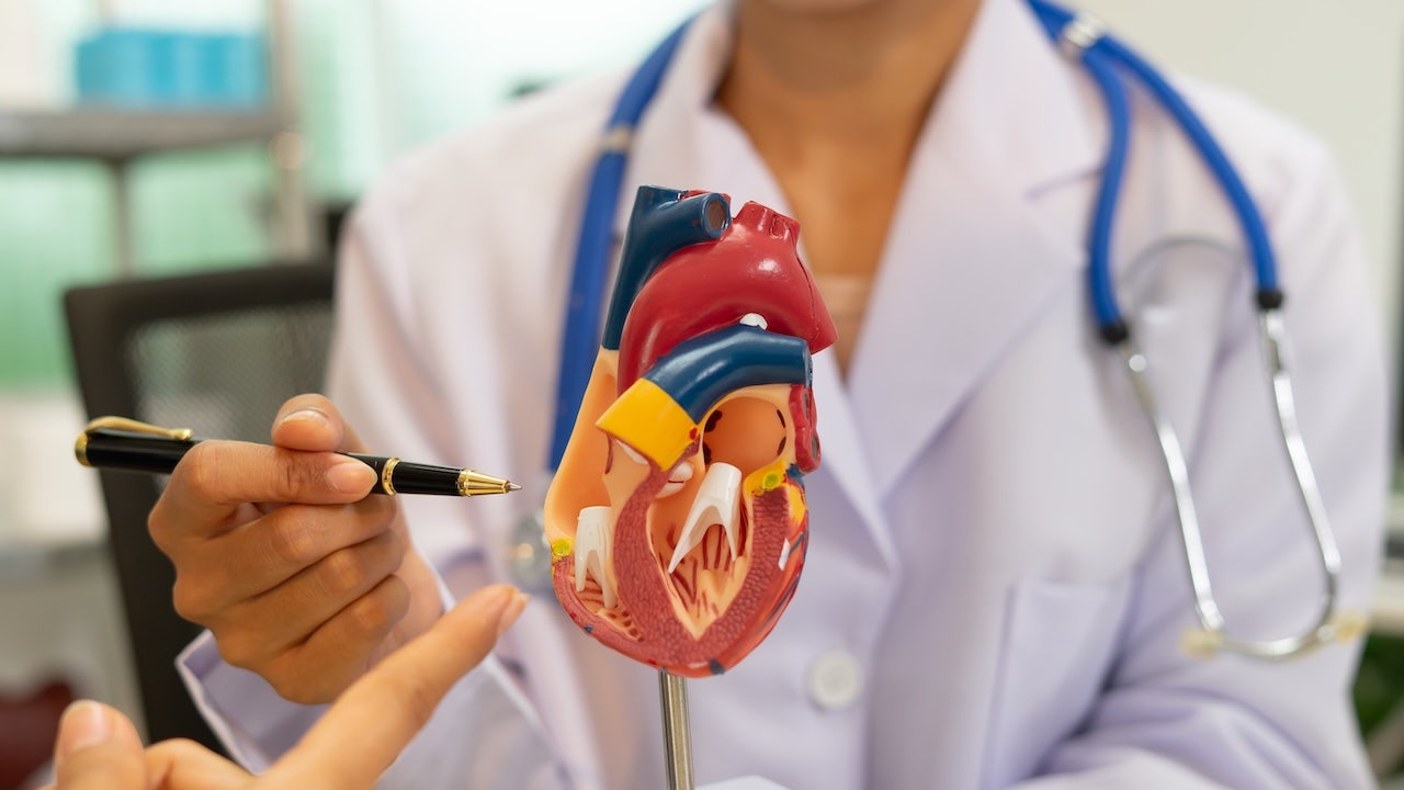 Doctor with heart model