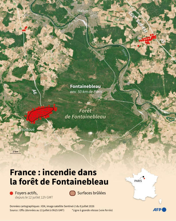 la-for-t-de-fontainebleau-en-feu-nu-ez-voque-une-origine-volontaire