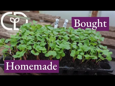 Make your own potting compost