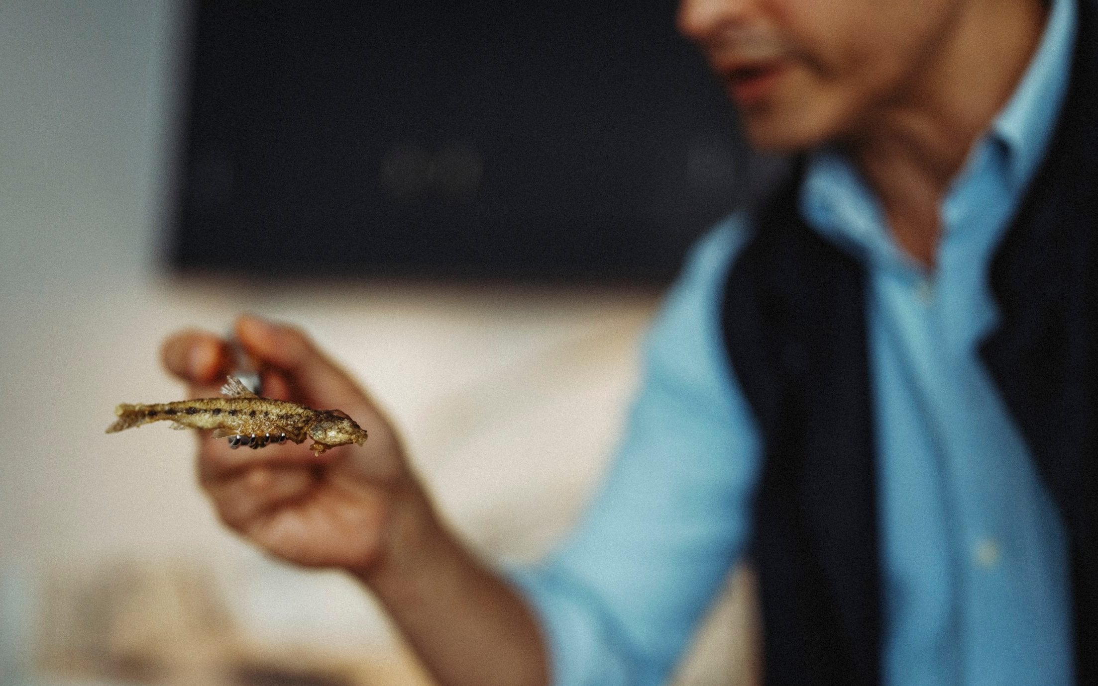 Urosevic preparing a gudgeon