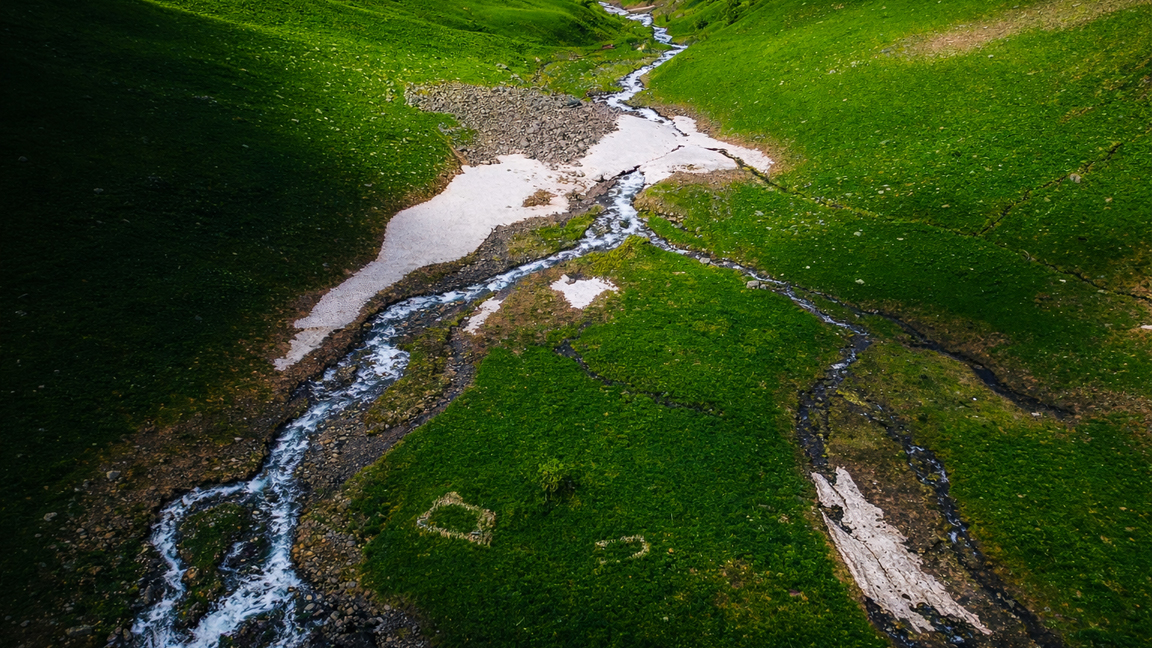 Nature’s patterns across an alpine meadow