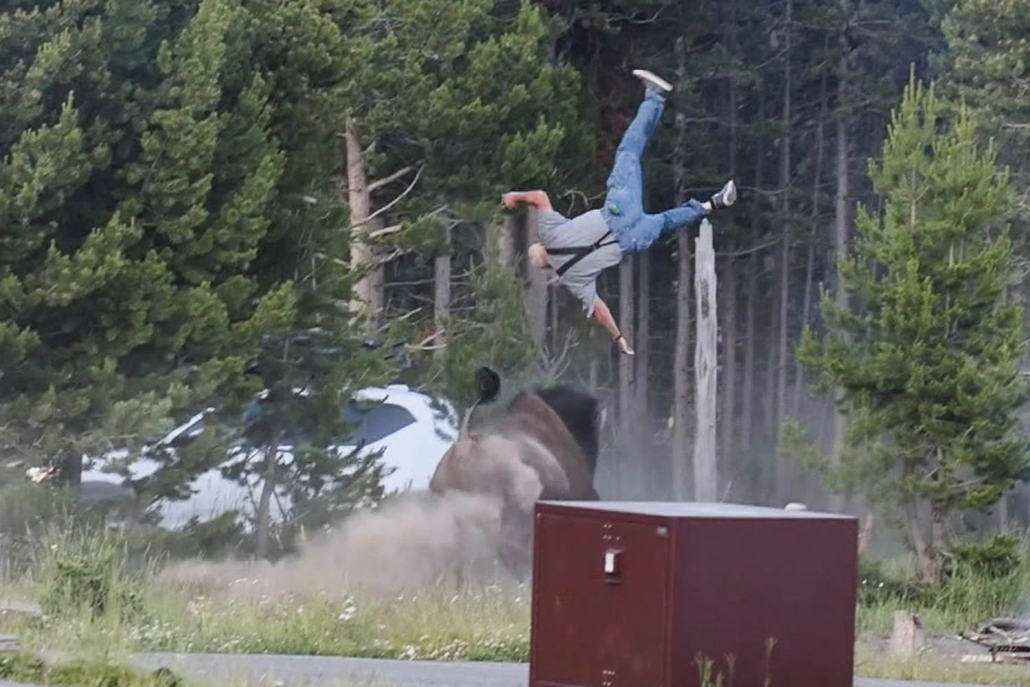 Family of man thrown 8 feet in the air by a bison shares a health update