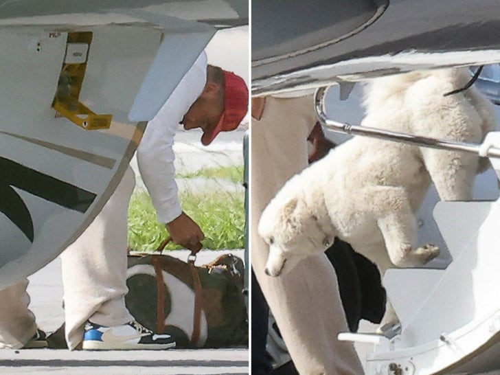 Taylor Swift and Travis Kelce's mystery dog revealed