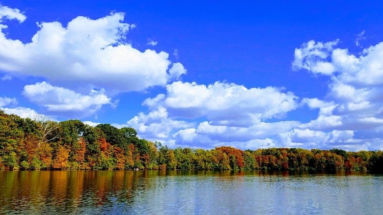 The lake at Stonelick Lake State Park in autumn with trees on the shoreline.