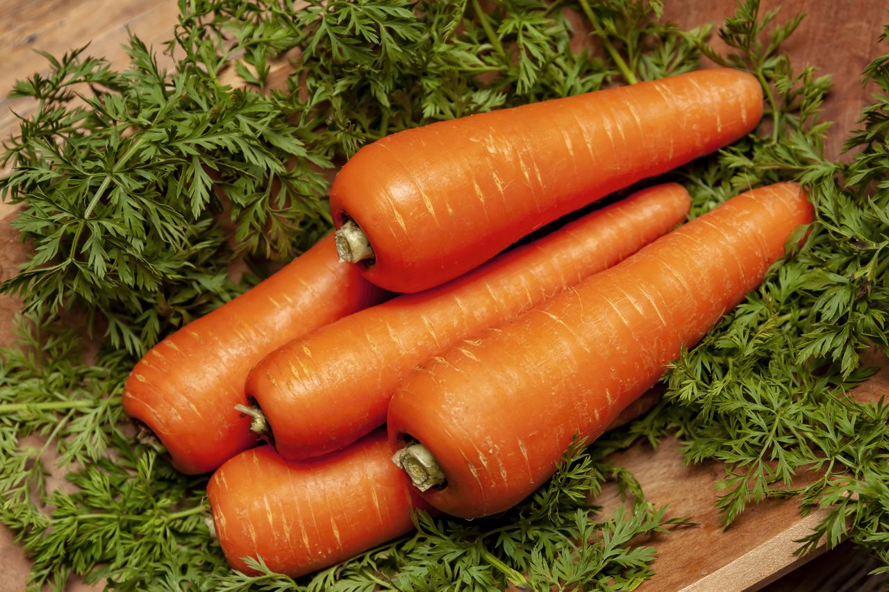 Close up of carrots
