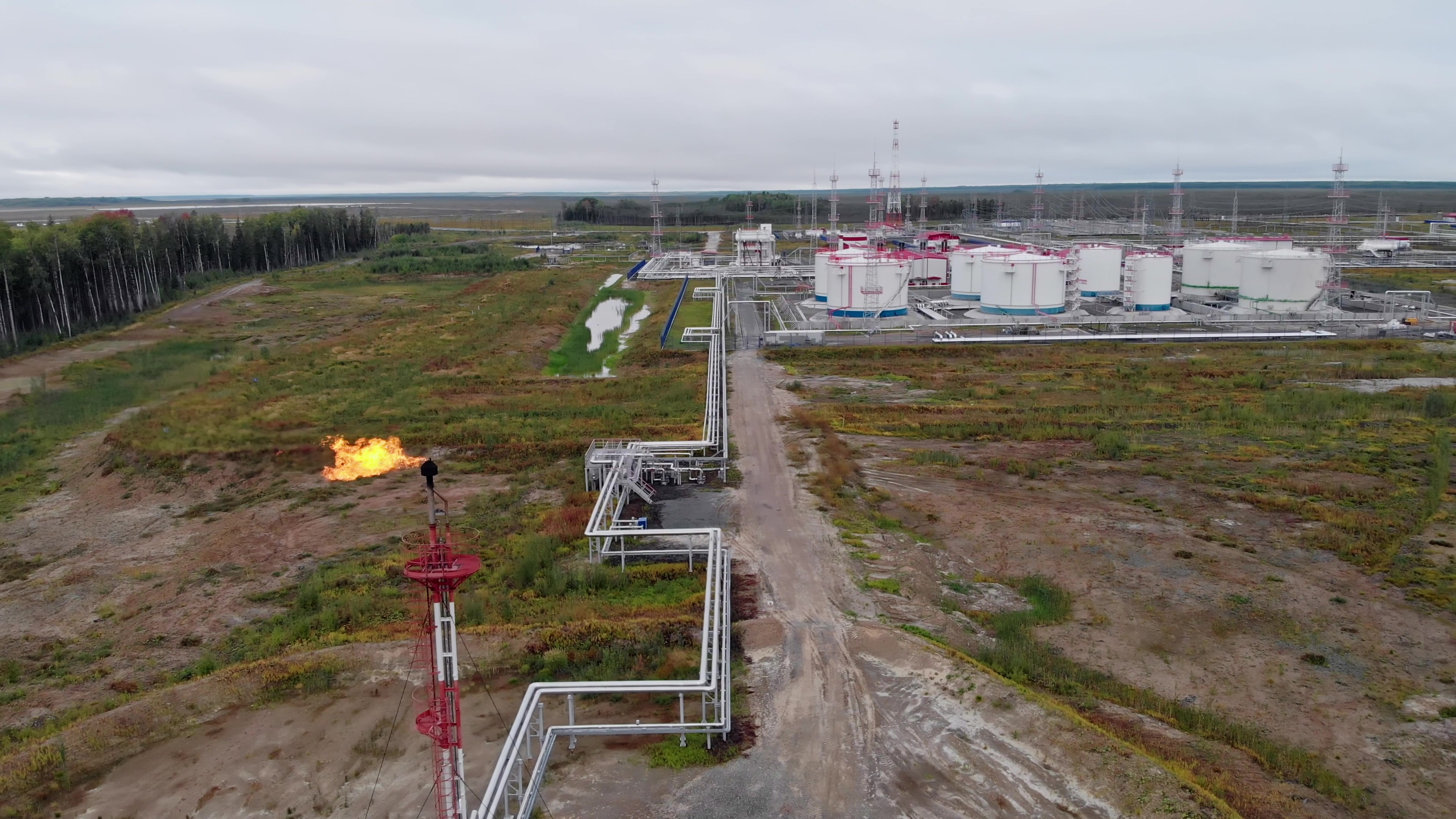 Why Texas Pacific Land Corporation rallied over 50% in the first half of 2026