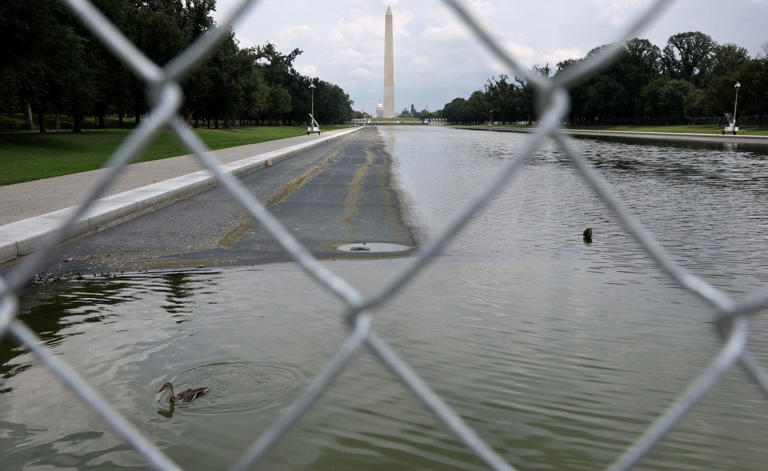 Reflecting pool drained after Trump’s green slime humiliation