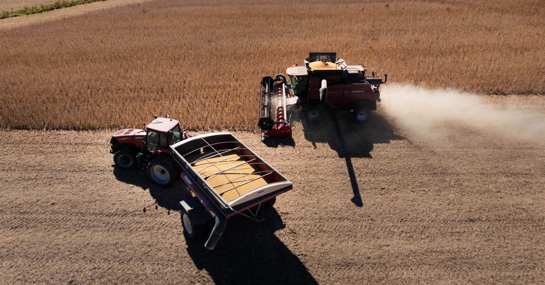 A combine harvester prepares to unload soybeans into a grain truck during a harvest at a farm in Rochester, Minnesota.