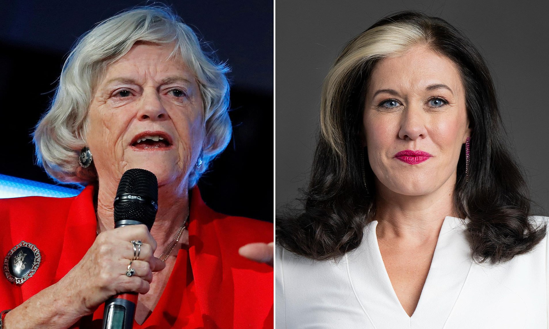 Labour's minister for women's safety apologises for blast at Reform over Ann Widdecombe's 'murder'