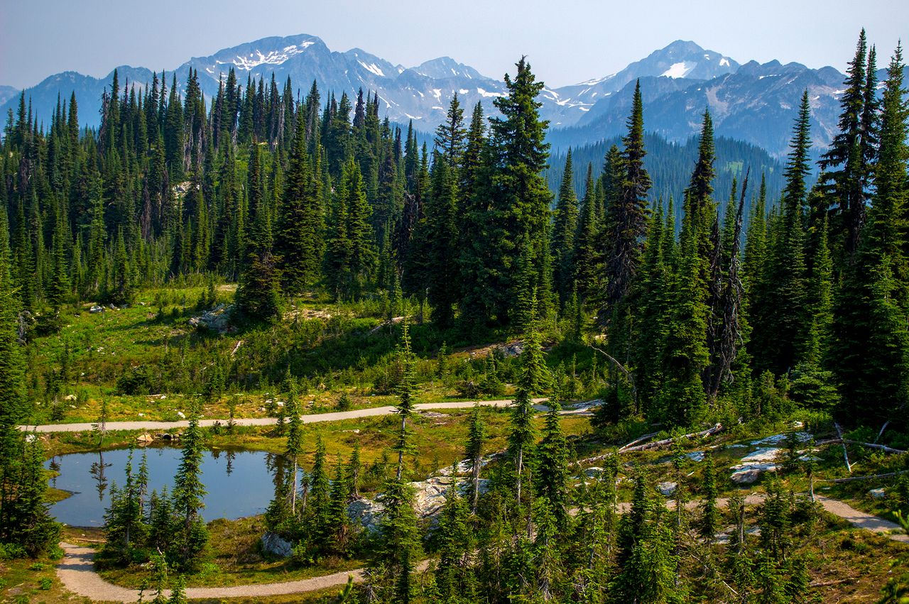 Mountain landscape with forests ponds and trails in Mount Revelstoke National Park