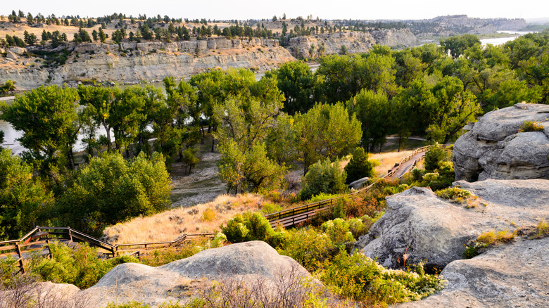Pompeys Pillar boardwalk trail by the Yellowstone River