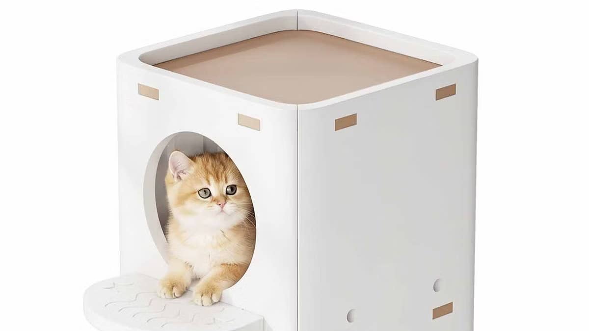 target-fdw-2-story-multi-level-cat-condo