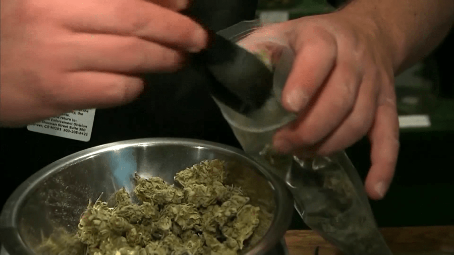 Cannabis is more visible. New York wants families talking about it