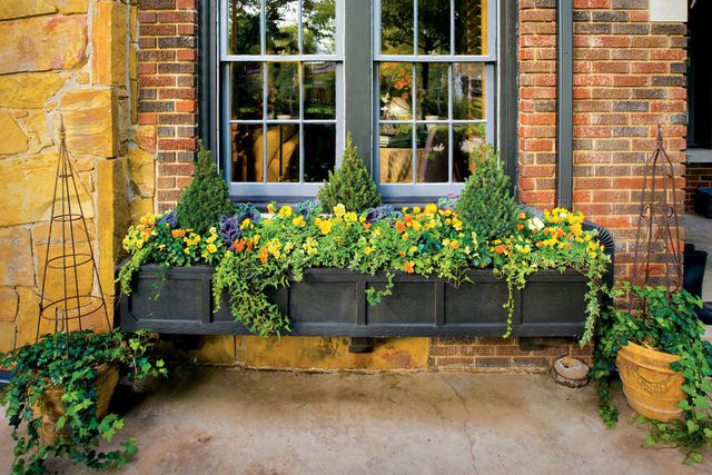 Black Window Box