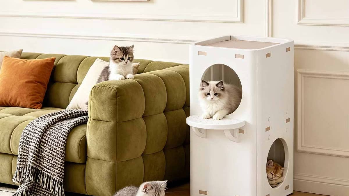 target-fdw-2-story-multi-level-cat-condo-in-house