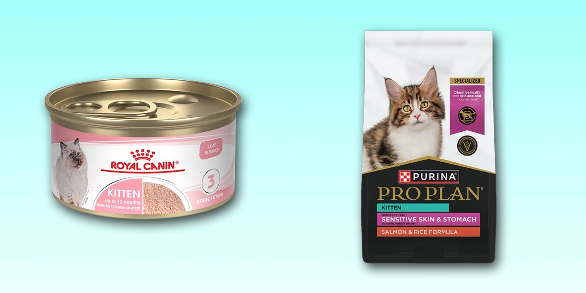 A can of Royal Canin Kitten wet cat food and a bag of Purina Pro Plan Kitten Sensitive Skin & Stomach dry cat food are displayed against a light blue background.