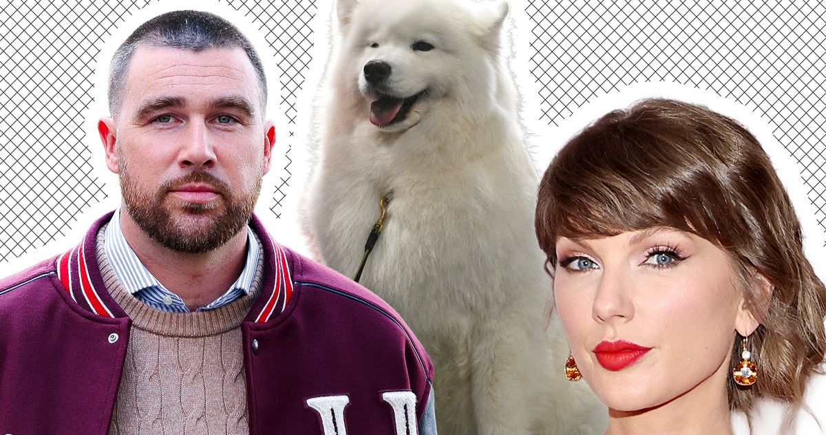 Did Taylor Swift and Travis Kelce get a secret dog?