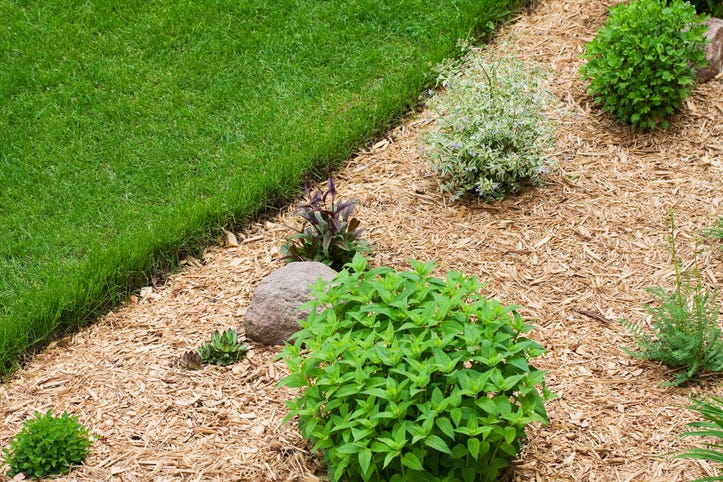 15 Pretty Garden Edging Ideas Landscape Designers Love