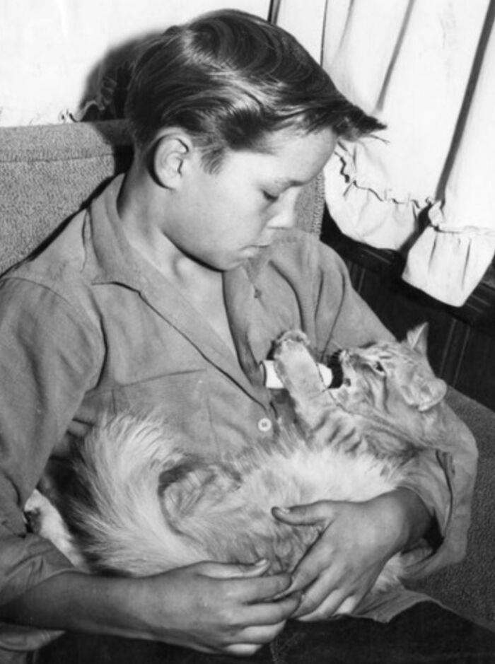 29 historic cat photos paired with their remarkable stories
