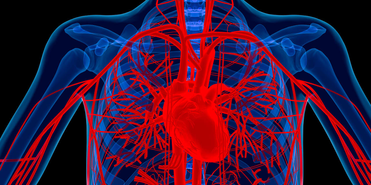 Lindsey Graham died from a rare heart condition. Here's how to know if you're at risk.