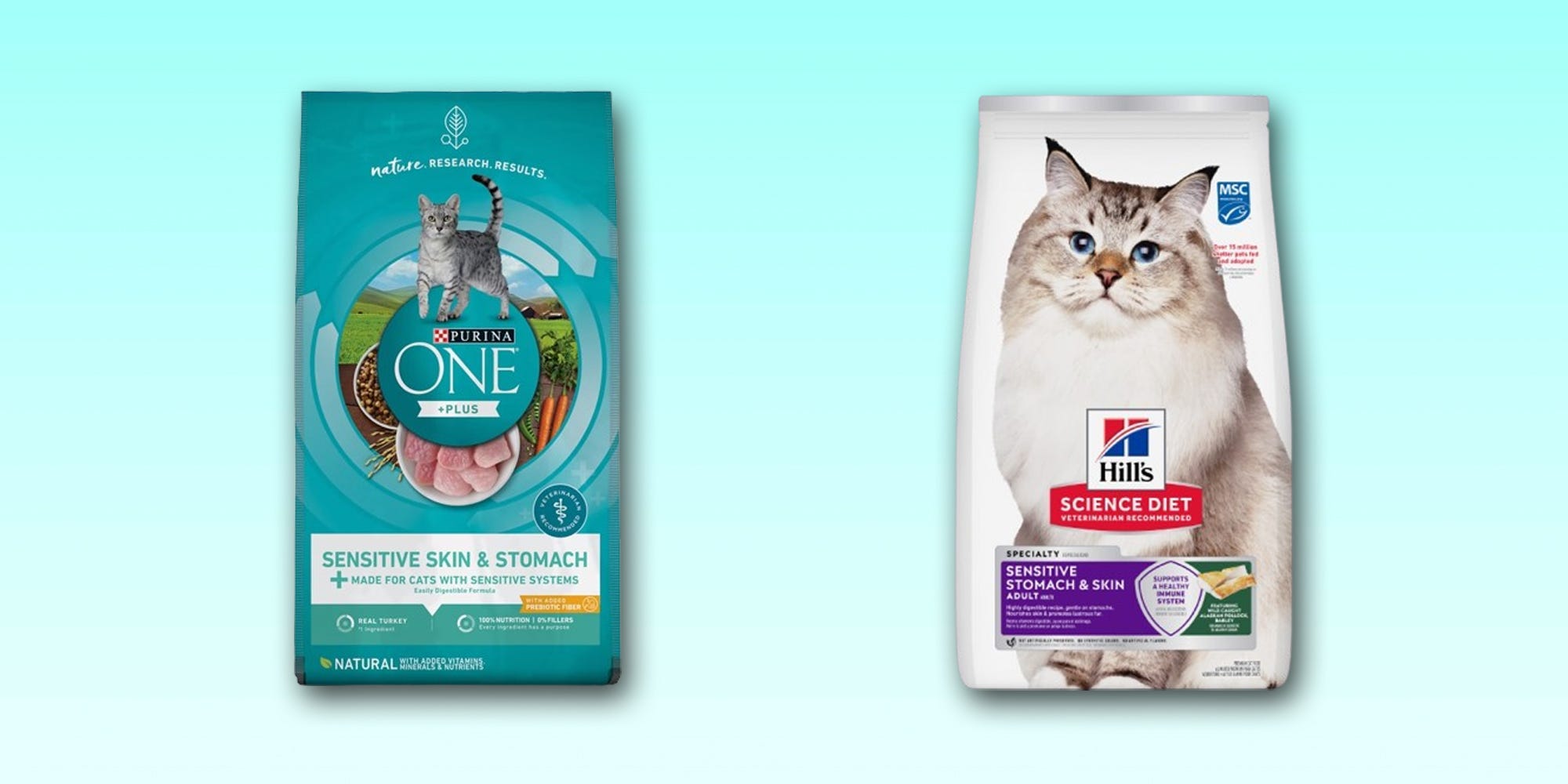 Two bags of dry sensitive stomach cat food from Purina One and Hill's Science Diet are displayed side by side against a light blue background.
