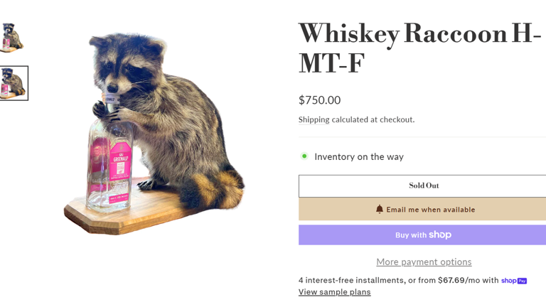 Erling Haaland brings stuffed raccoon from Dallas western store back to ...