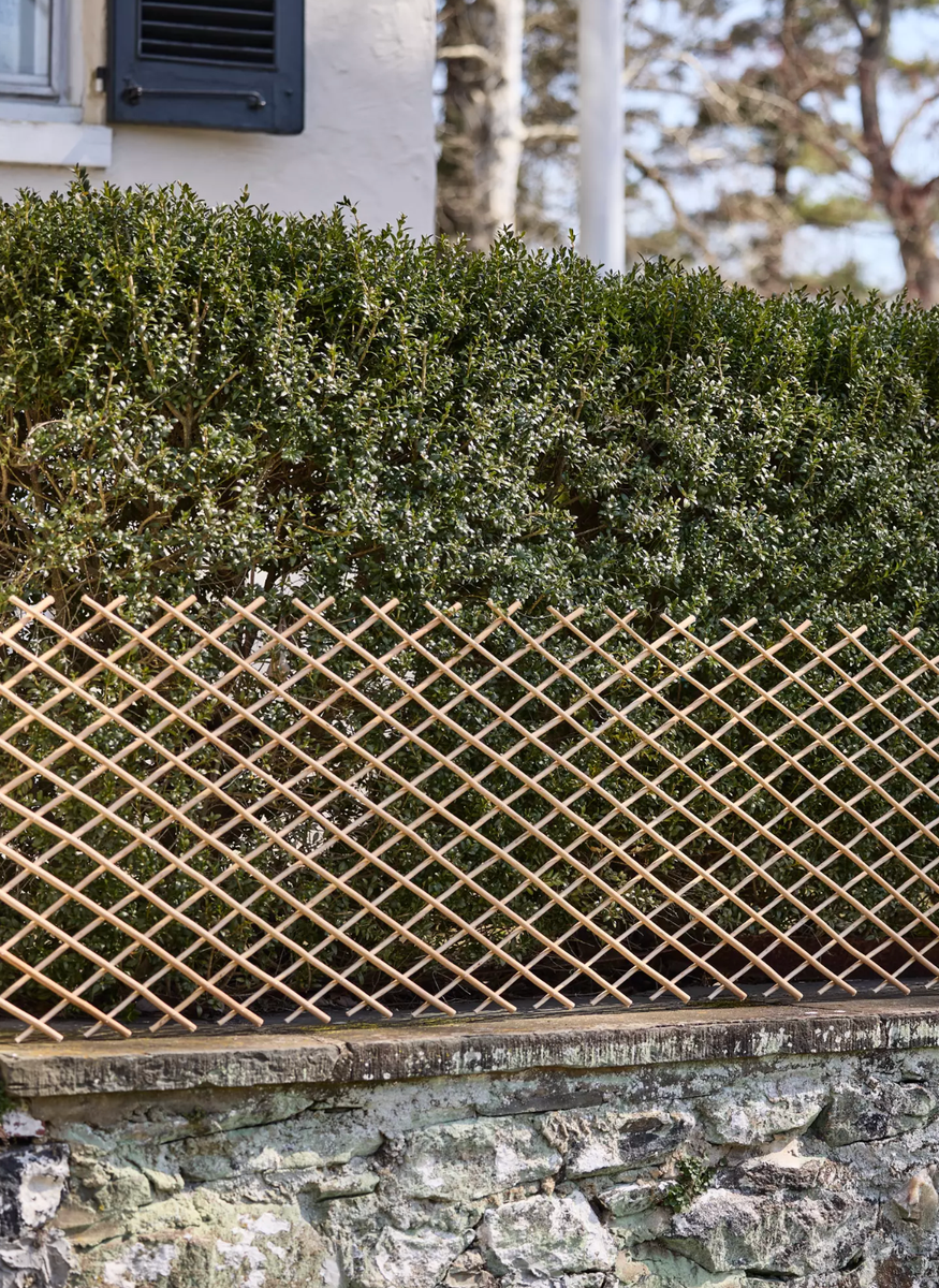 15 Pretty Garden Edging Ideas Landscape Designers Love