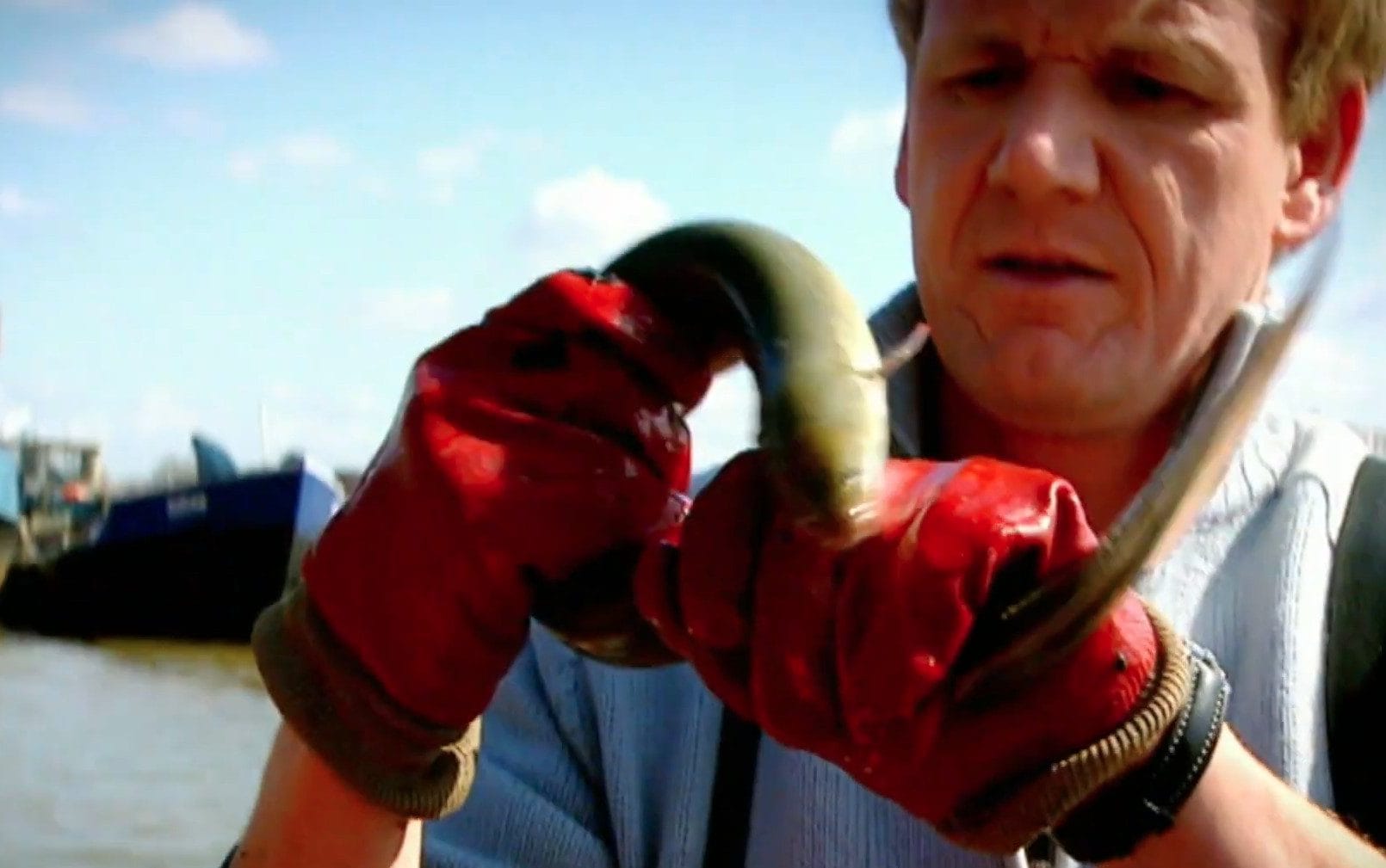 Gordon Ramsay catches eels from the Thames on a 2016 episode of The F Word