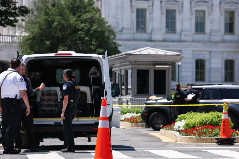 US Capitol Building police response: Man with gun arrested
