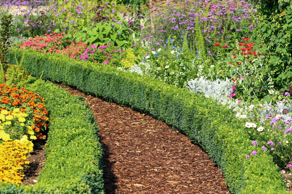 15 Pretty Garden Edging Ideas Landscape Designers Love