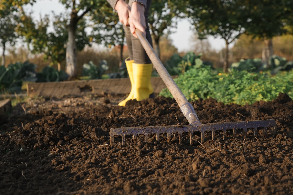 17 types of rakes and their uses