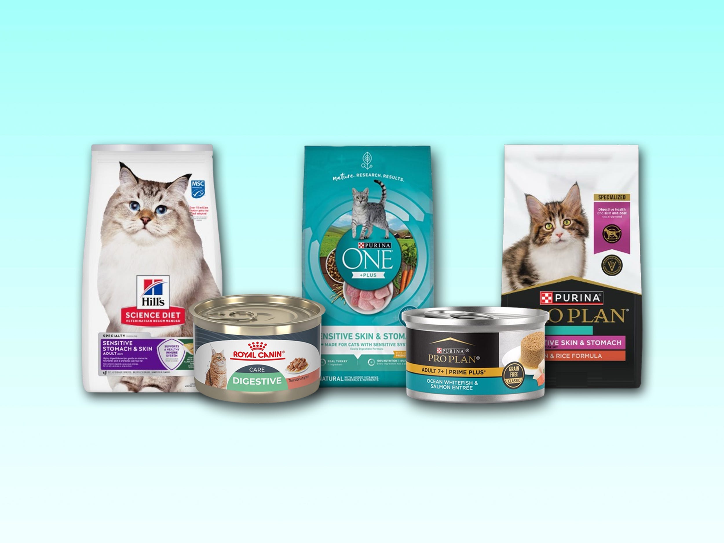 The best sensitive stomach cat food, with guidance from veterinarians