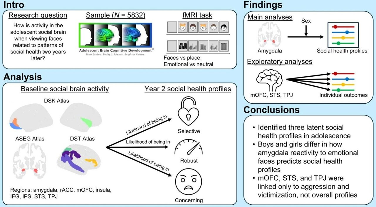 How an adolescent's brain reacts to faces may predict their social future