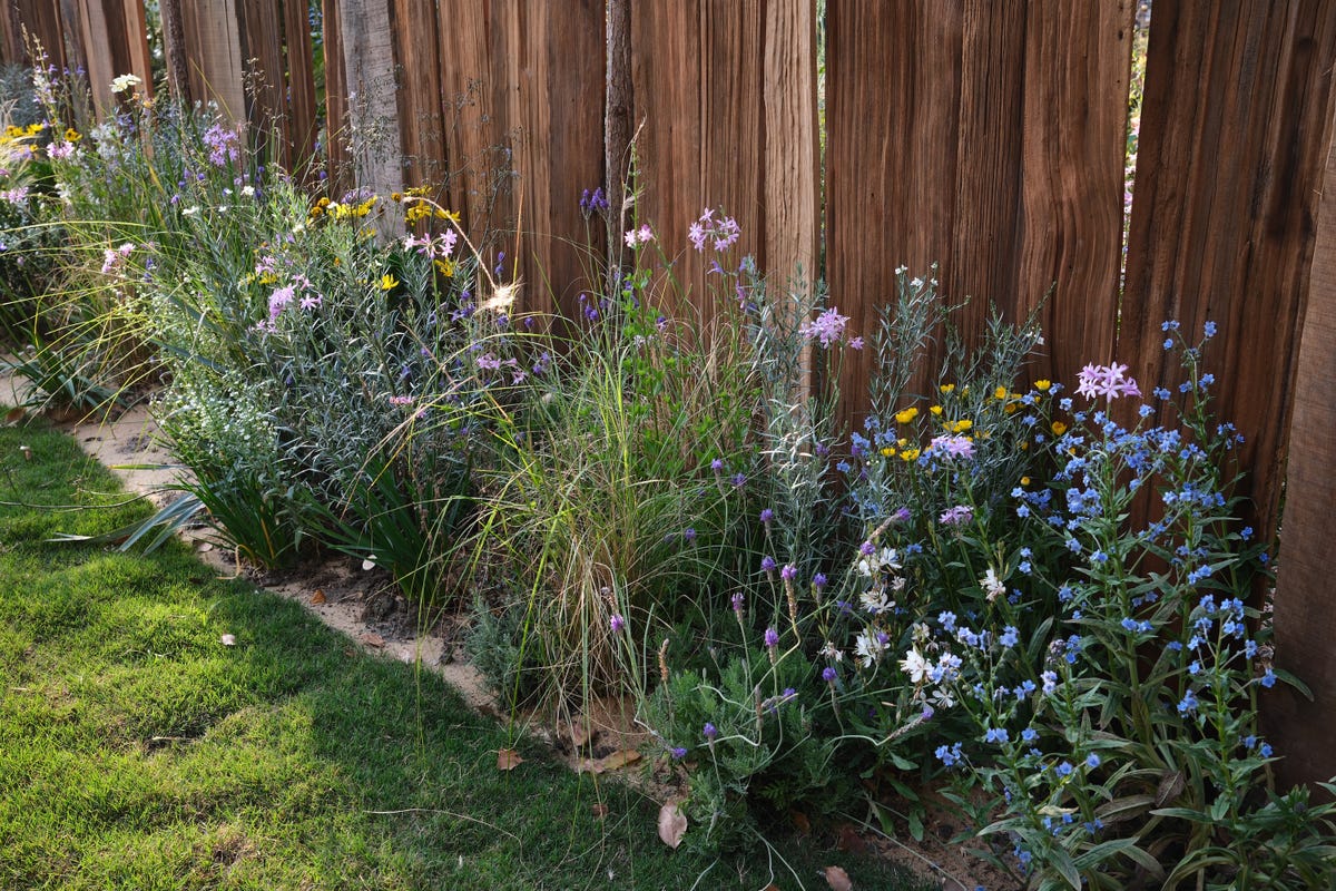 garden-heatwave-care-2273375441.jpg