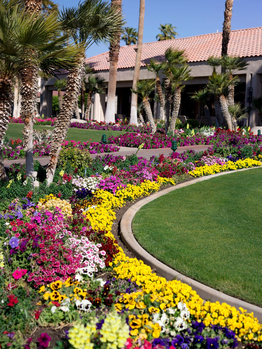 15 Pretty Garden Edging Ideas Landscape Designers Love