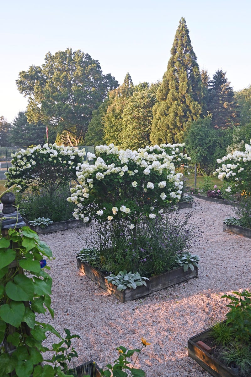 15 Pretty Garden Edging Ideas Landscape Designers Love