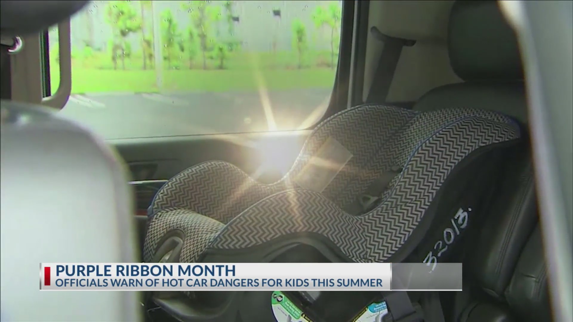 Purple Ribbon Month: Officials warn parents, caretakers of leaving ...
